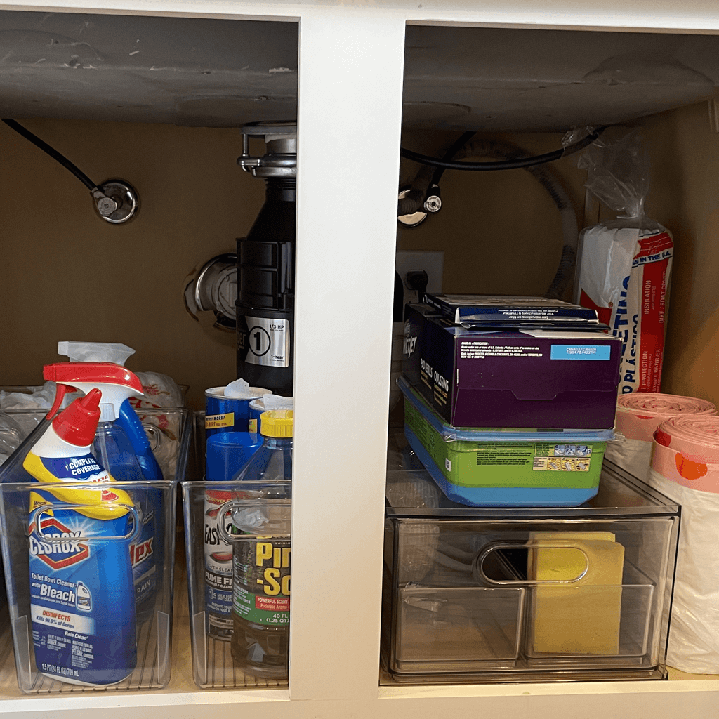 Bathroom Cleaner Organization in Montrose Neighborhood, TX