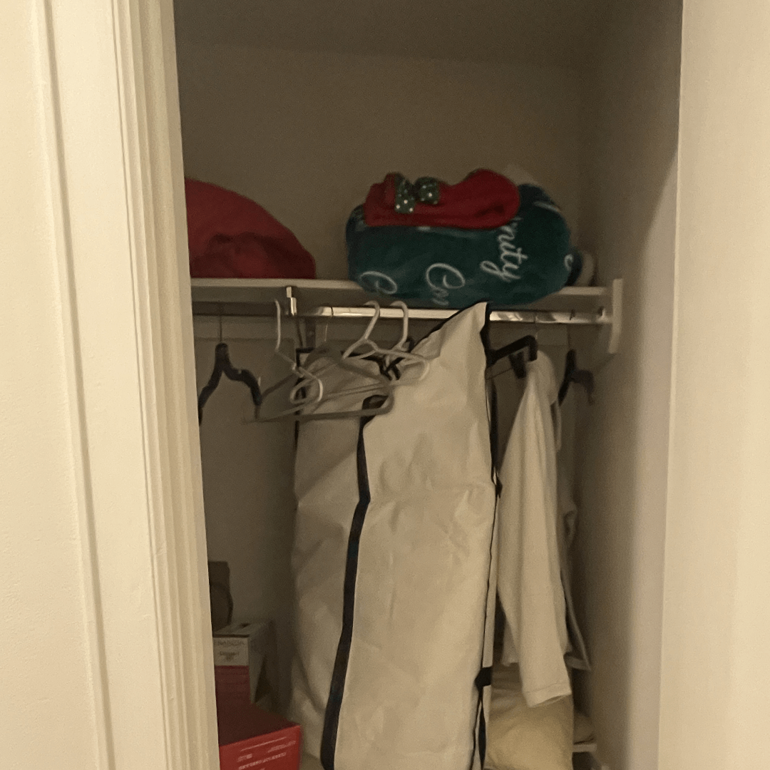 Guest Closet Organization Services in Houston, TX